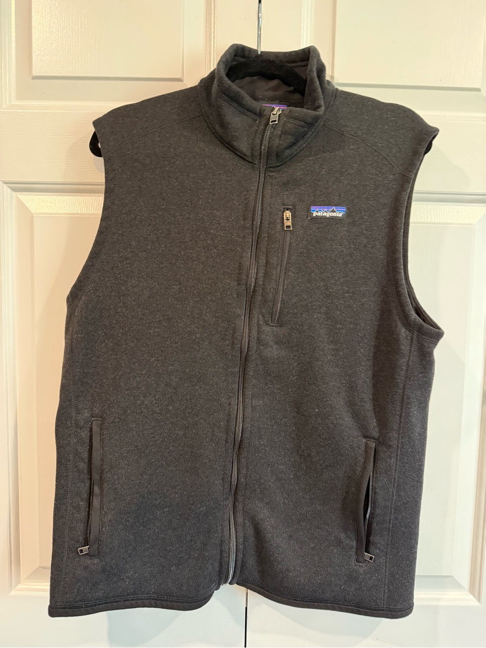 Patagonia Men’s Black Fleece Vest